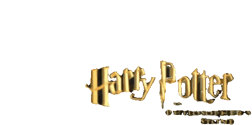 Harry Potter Sticker - Harry Potter Transparent Stickers