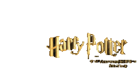 Harry Potter Sticker - Harry Potter Transparent Stickers