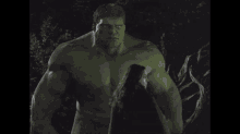 Hulk Hulk2003 GIF - Hulk Hulk2003 The Hulk GIFs