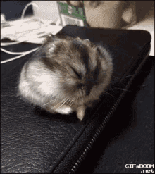 Sleepy Mouse GIF - Sleepy Mouse GIFs
