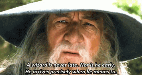 gandalf-a-wizard-is-never-later.gif