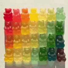 gay pride bears gummy candies colors