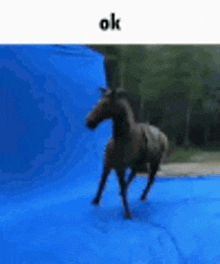 Horse Ok GIF