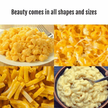 a collage of macaroni and cheese with a caption that says beauty comes in all shapes and sizes