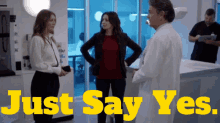Greys Anatomy Amelia Shepherd GIF - Greys Anatomy Amelia Shepherd Just Say Yes GIFs