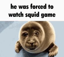 he was forced to watch squid game he was forced to watch squid game