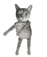a cat with its eyes closed and its paws up