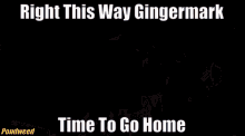 Pondweed Gingermark GIF - Pondweed Gingermark Tom Brady GIFs
