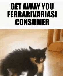 a black cat is standing on a wooden floor next to a sign that says get away you ferrari variasi consumer