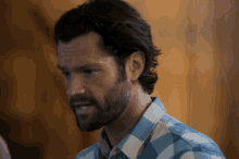 a man with a beard is wearing a blue and white checkered shirt