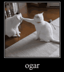 Ogar GIF - Ogar GIFs