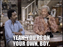 You’re On Your Own Boy GIF - You’re On Your Own Boy Sanford And Son GIFs