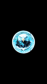 a logo for the silent eagle family with a bald eagle on it