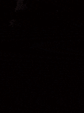 a painting of a seal in the water with a dark background