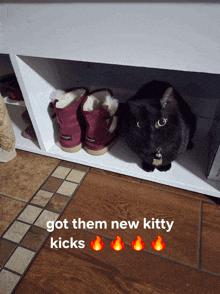 a black cat sits next to a pair of ugg boots on a shoe rack