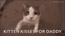 Kittenprincess2606 Daddys GIF - Kittenprincess2606 Daddys Good GIFs