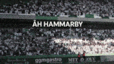 åh Hammarby Bajen GIF - åh Hammarby Hammarby Bajen GIFs