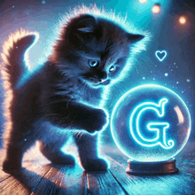 a kitten is standing next to a snow globe with the letter g glowing in it