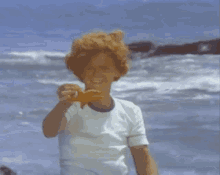 Sigmund And The Sea Monsters Beach GIF