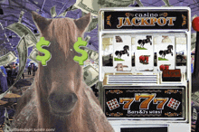Tomascore Horse GIF - Tomascore Horse Gambling GIFs