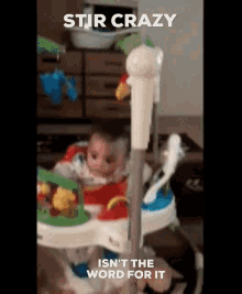 Losing It Stir Crazy GIF - Losing It Stir Crazy Isnt The Word For It GIFs