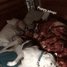 two dogs laying on a bed with the words puppy snugs written on the bottom