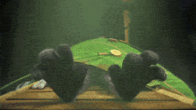 a close up of a person 's feet on a green blanket