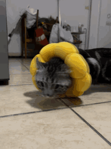 a cat wearing a yellow flower shaped cone laying on the floor