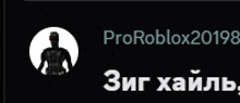 a black background with a silhouette of a person in a white circle and the name proroblox20198