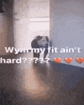 a dog is standing in a doorway next to a wall with hearts on it .