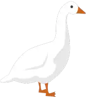 a white goose with orange legs and a black spot on its head