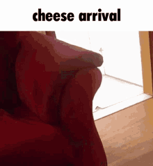 Cheese Cat GIF - Cheese Cat Discord GIFs