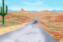 Road Runner GIF - Road Runner Cartoon GIFs