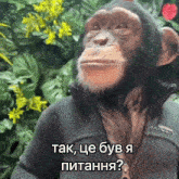 обезьяна GIF - обезьяна GIFs