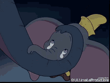 Dumbo Hijo GIF - Dumbo Hijo GIFs