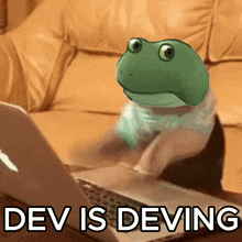 a picture of a frog on a couch with the words dev is deving