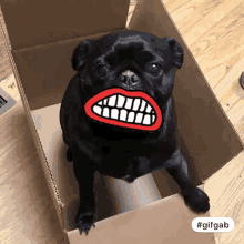 Dog Mouth Filter GIF - Dog Mouth Filter GIFs