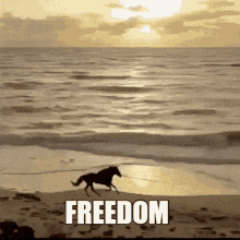 Freedom Openied GIF - Freedom Openied Sunset GIFs