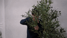 a man in a black sweater is standing behind a tree with black olives