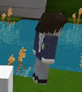 a minecraft character with the letter t on their back