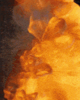 a close up of a fire with the word coca cola on it