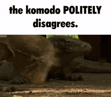 a picture of a lizard with the words " the komodo politely disagrees " below it