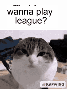 wanna play league league of legends cat zoom out cat