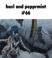 a picture of haxl and peppermint # 66 is displayed