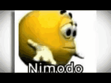 Nimodo GIF - Nimodo GIFs
