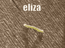 Eliza Worm GIF - Eliza Worm GIFs