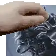 a person 's hand is reaching out towards a painting of a wolf .