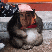 a person is putting a picture of a man on a monkey 's back