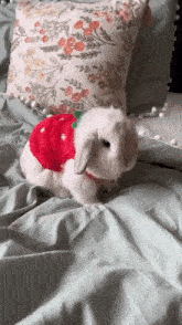 a small white rabbit wearing a strawberry outfit is sitting on a bed