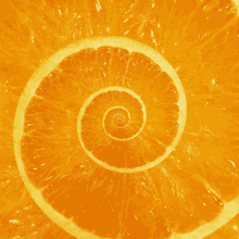 Orange GIF - Orange GIFs